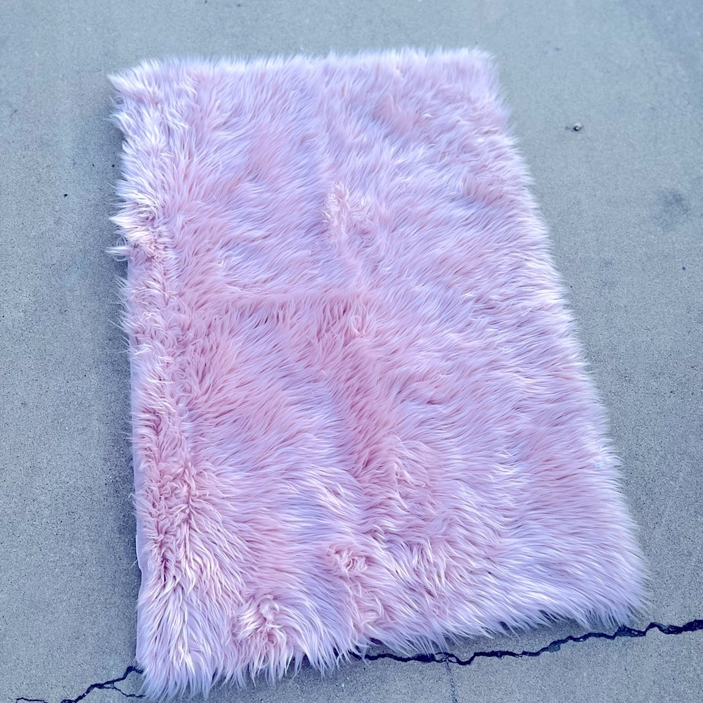 Area Rug From HomeGoods